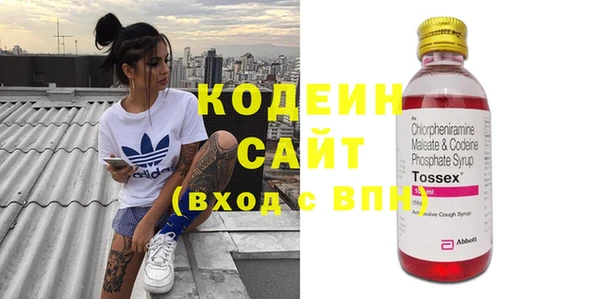 сатива Дмитровск