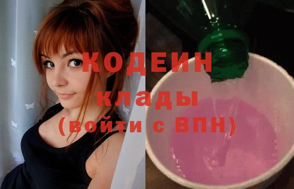 прущий лед Дмитриев