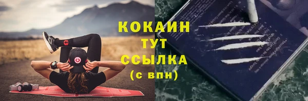 сатива Дмитровск