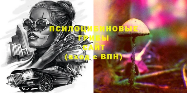 сатива Дмитровск
