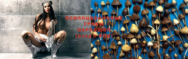 наркотики Дмитров