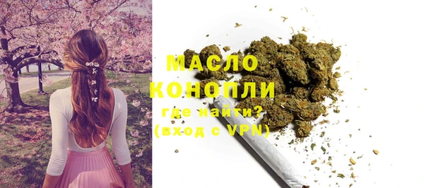 сатива Дмитровск