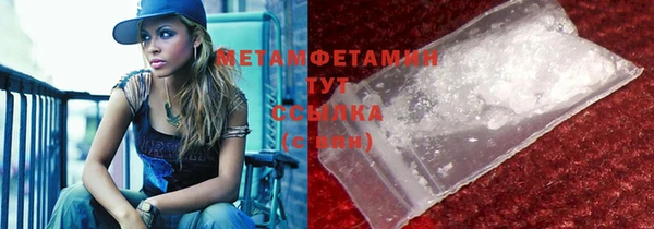 сатива Дмитровск